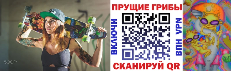 Псилоцибиновые грибы прущие грибы  Котово 